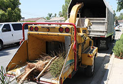 A backhoe loader truck transferring part of trees ot a bigger truck