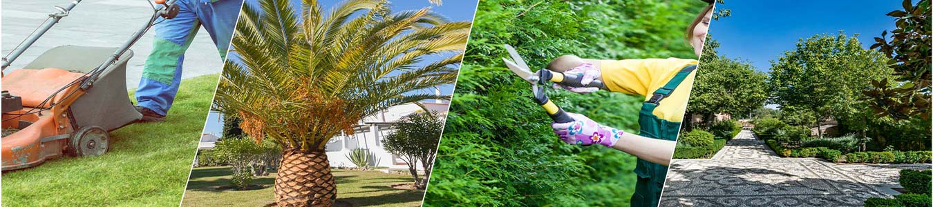 4 photos of lanscape contracting placed side by side. From left to right: (1) Someone using a lawnmower (2) a palm tree (3) Somone trimming plants with garden scissors (4) A garden with a pathway and various trees